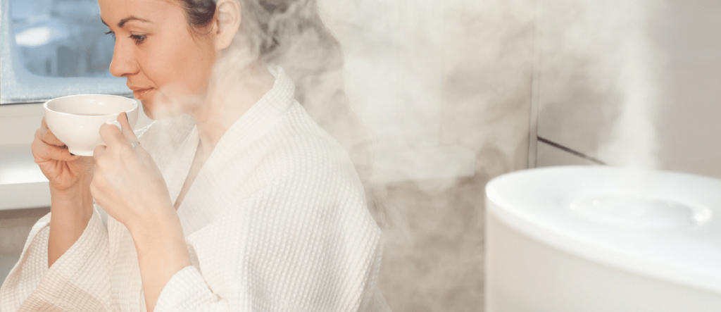 Best Humidifier for Dry Skin